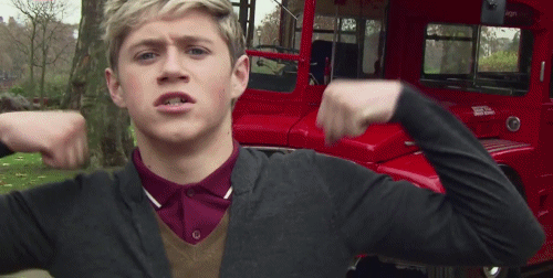 tumblr_m2a48xikD41r55now.gif