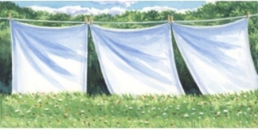 Three-Sheets-in-the-Wind-300x150.jpg