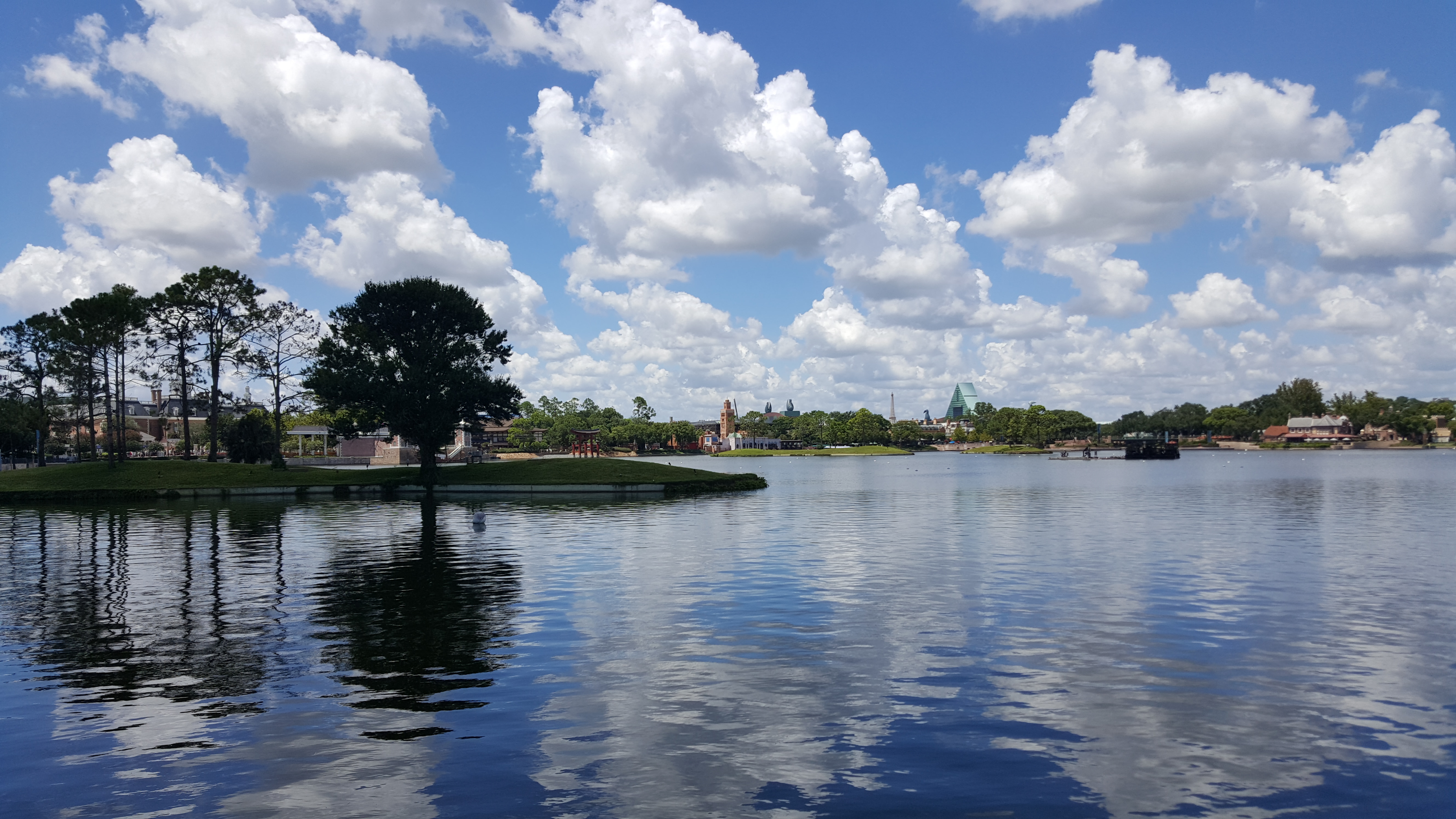 20180818-123322.jpg