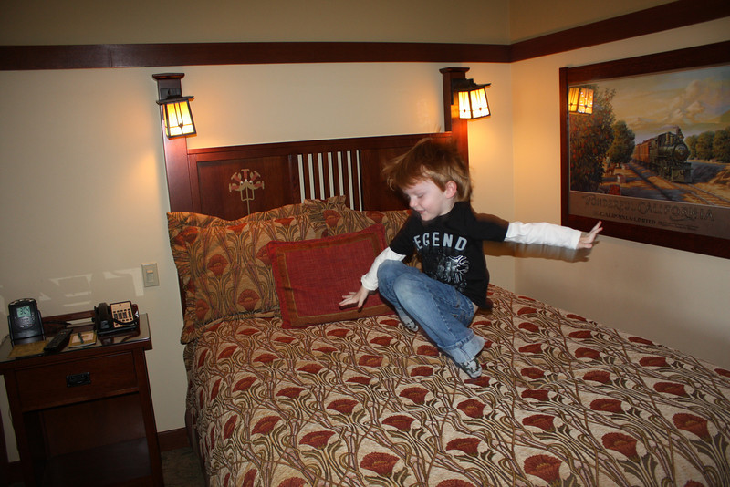 IMG2304-L.jpg