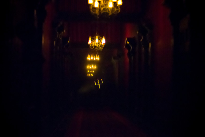 DSC_1383-L.jpg