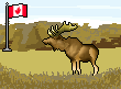 moose.gif