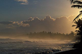 1-353-90.isabelabeach.y.jpg