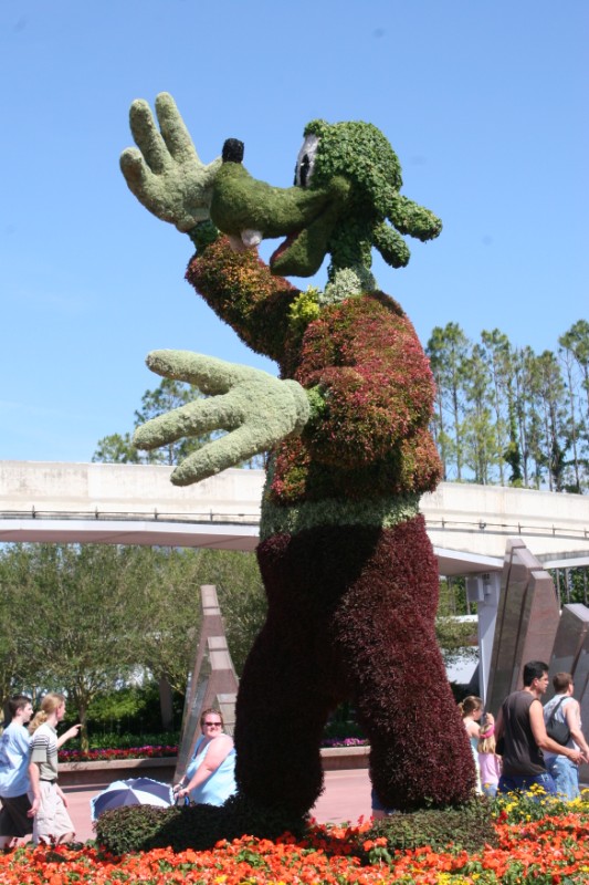 goofy1.jpg