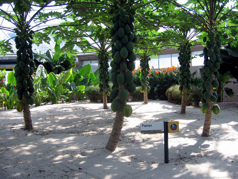 WDW%20072-L.jpg