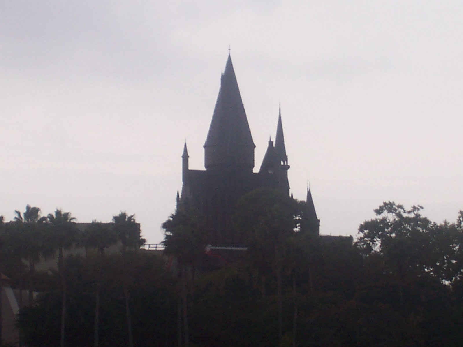 100_5910.JPG