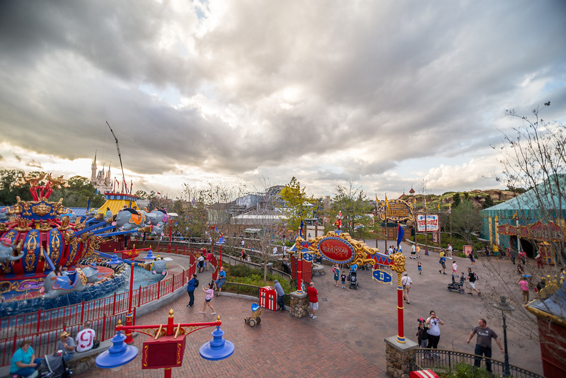 DSC_7307-L.jpg