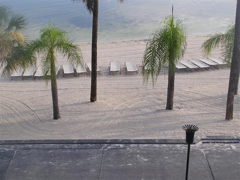 P1010233.jpg