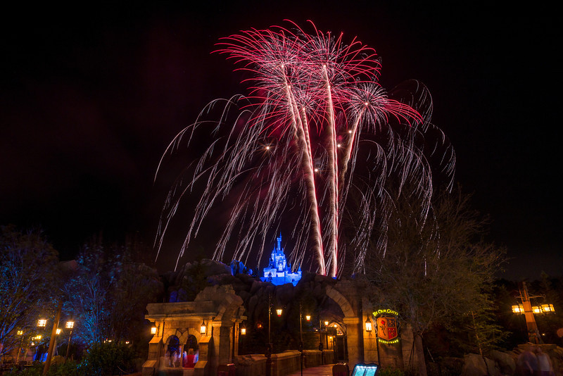 DSC_7444-L.jpg