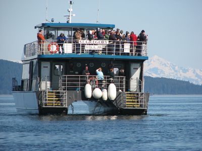BigBoat.JPG