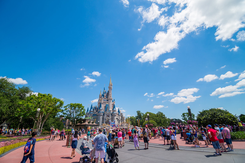 DSC_3294-L.jpg
