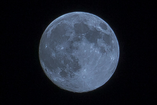 DSC00697-XL.jpg