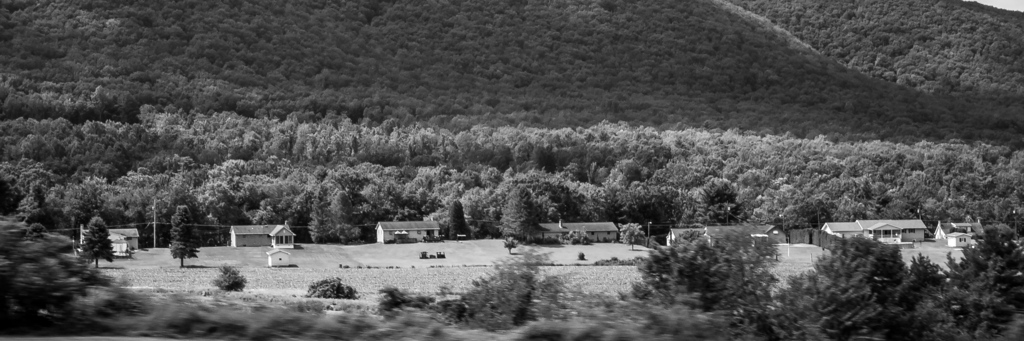 DSC09652-XL.jpg