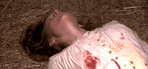 tumblr_lnf58kRDjb1qjxgtro1_500.gif