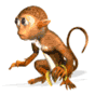 3d-monkey.gif
