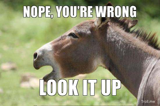 nope-youre-wrong-look-it-up.jpg
