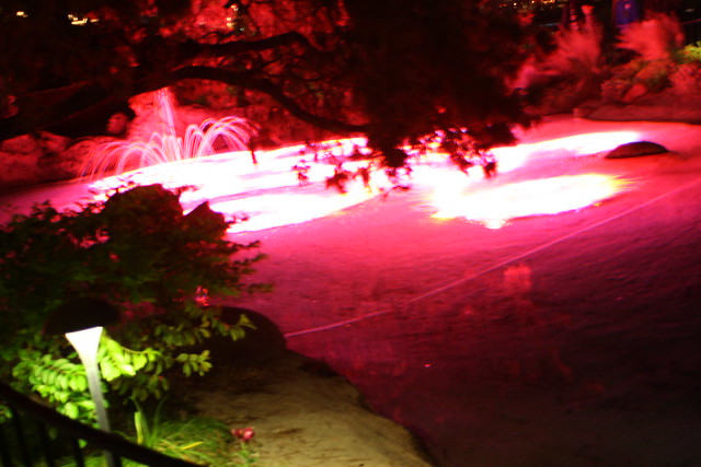 23924470490_f2130355c9_z.jpg