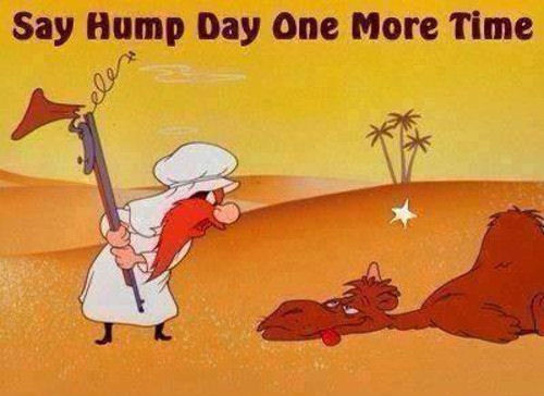 50759-Hump-Day.jpg
