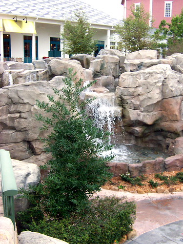 350956766_55e0234fd2.jpg