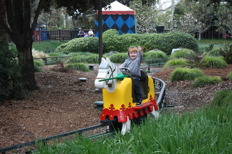IMG_1383-L.jpg