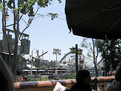 IMG_8116.JPG