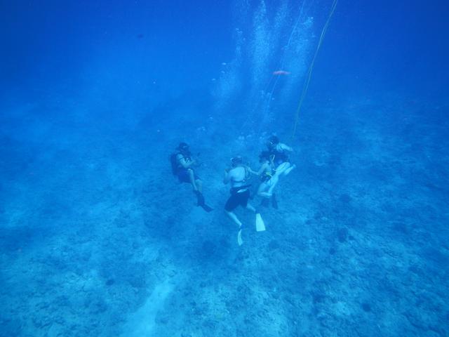 DSCN0796.jpg