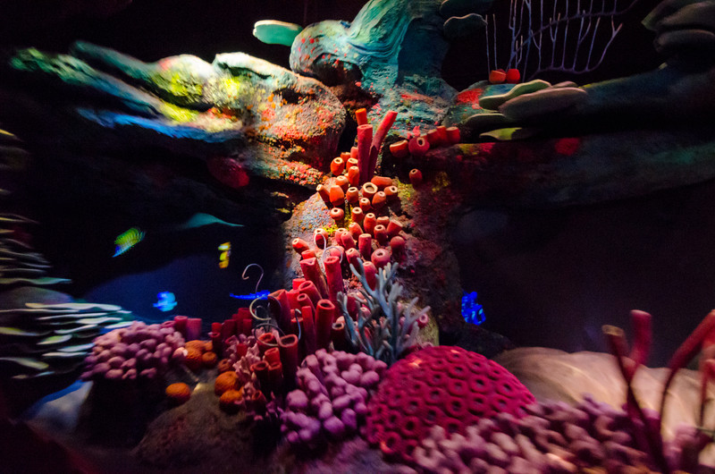 DSC1167-L.jpg