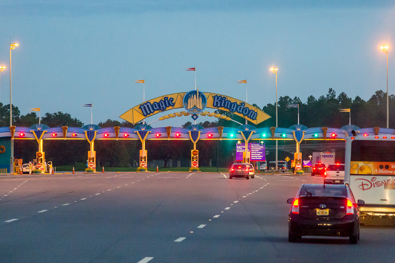 DSC_3206-L.jpg