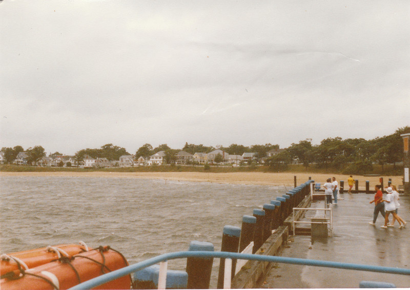 370623706_ZBTQZ-L.jpg