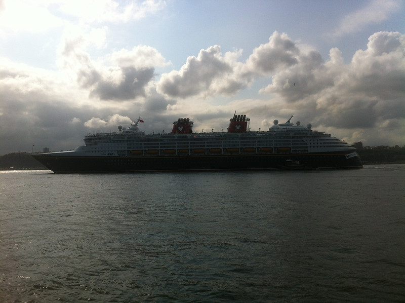 IMG5623-L.jpg