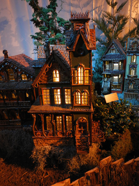 DSCN9536-L.jpg