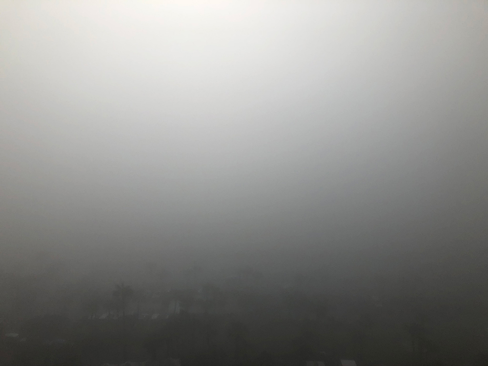 710.jpg