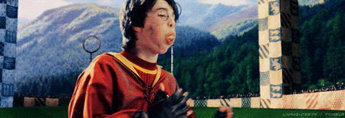 tumblr_lhlp9uvLOv1qbryyno1_500.gif