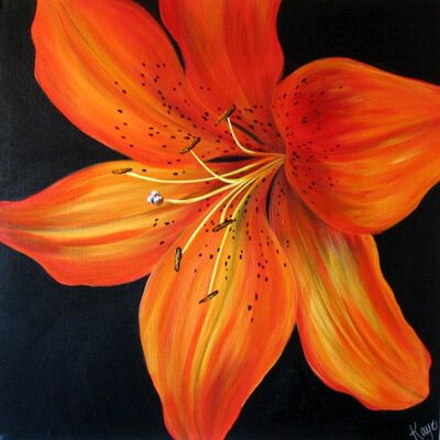 165630_tiger-lily.jpg