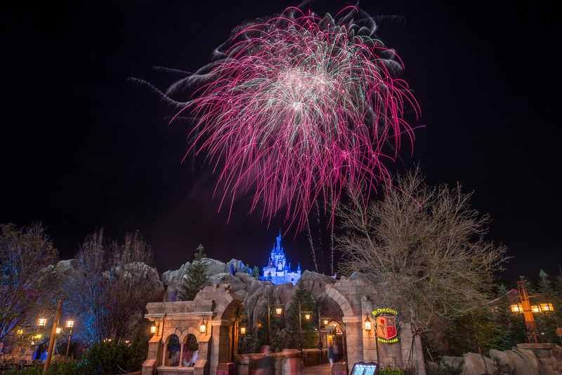 DSC_7456-L.jpg