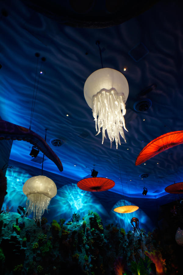 wdw_12_xxvii_by_ldfranklin-d6gcle6.jpg