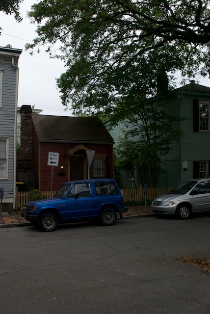 savannah-7.jpg