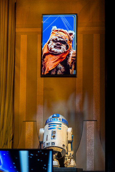 DSC_6443-L.jpg