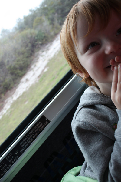 1217614069_2K4np-L.jpg
