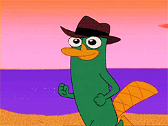 tumblr_lu7a02TjKO1r2za3do2_250.gif