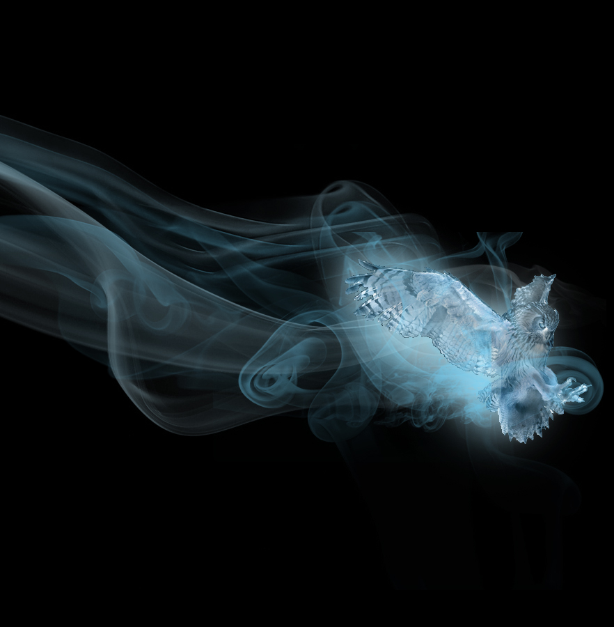 owl_patronus_by_simpson_freak-d32yk5k.jpg