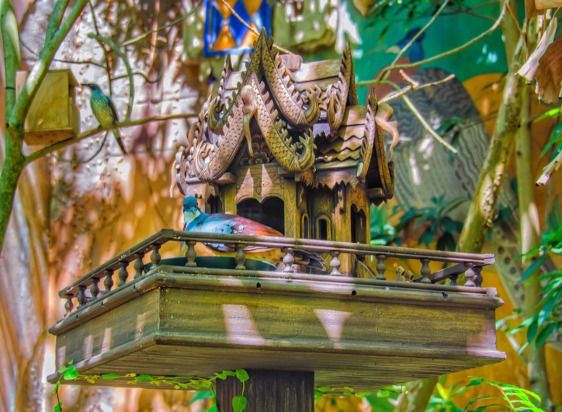 DSC_3054-L.jpg