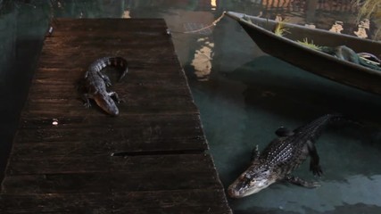 240_F_108581110_RxujaihPSgSj1GfLpgFe1DI2Mq2lH0wY.jpg