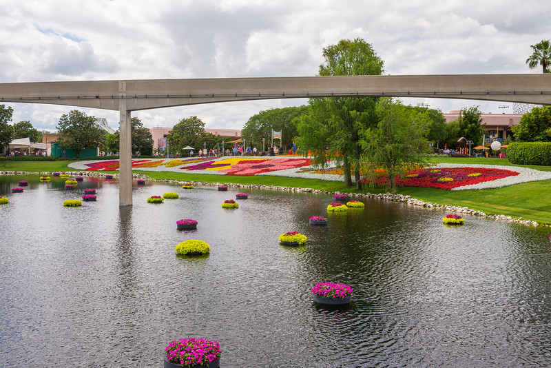 DSC_2157-L.jpg