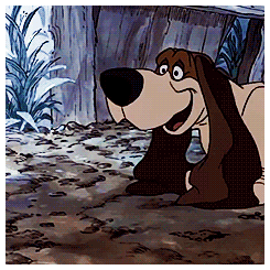 tumblr_ntsqbhJ2Aa1sgolmbo4_250.gif