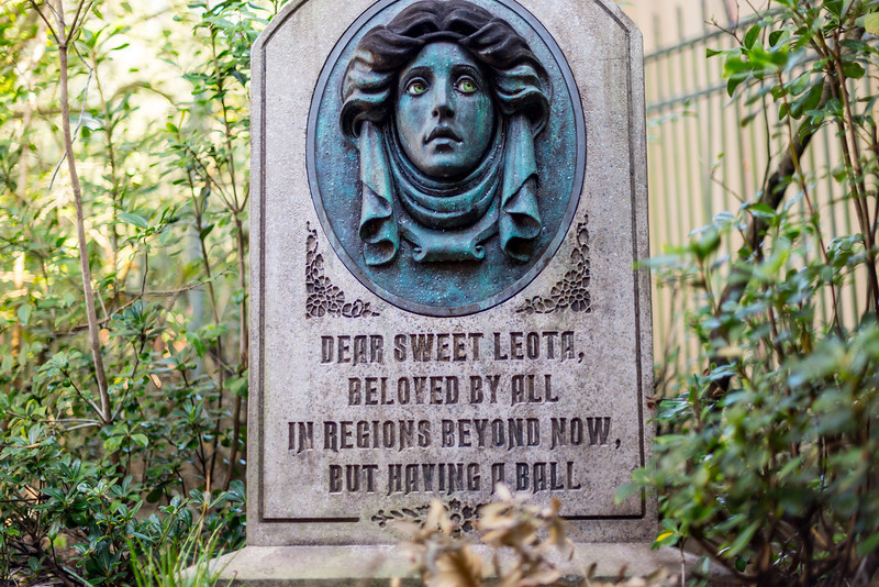 DSC_6625-L.jpg