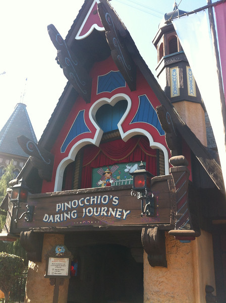 IMG4839-L.jpg