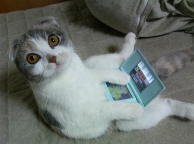 cat-ds.jpg