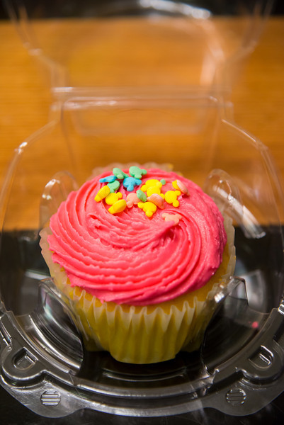 DSC_2669-L.jpg