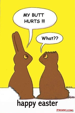 2chocolatebunnies.jpg